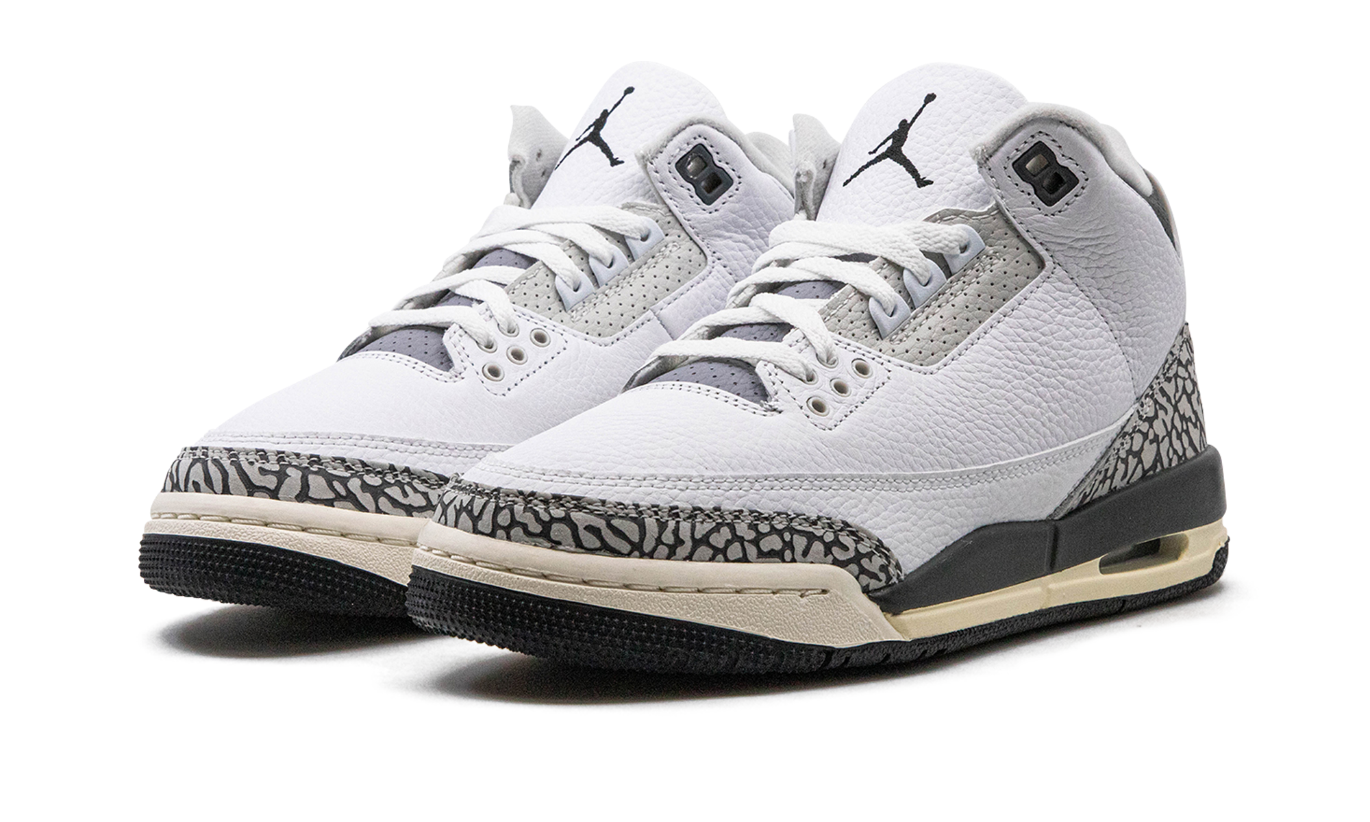 Air Jordan 3 GS Hide N Sneak DX6665 100