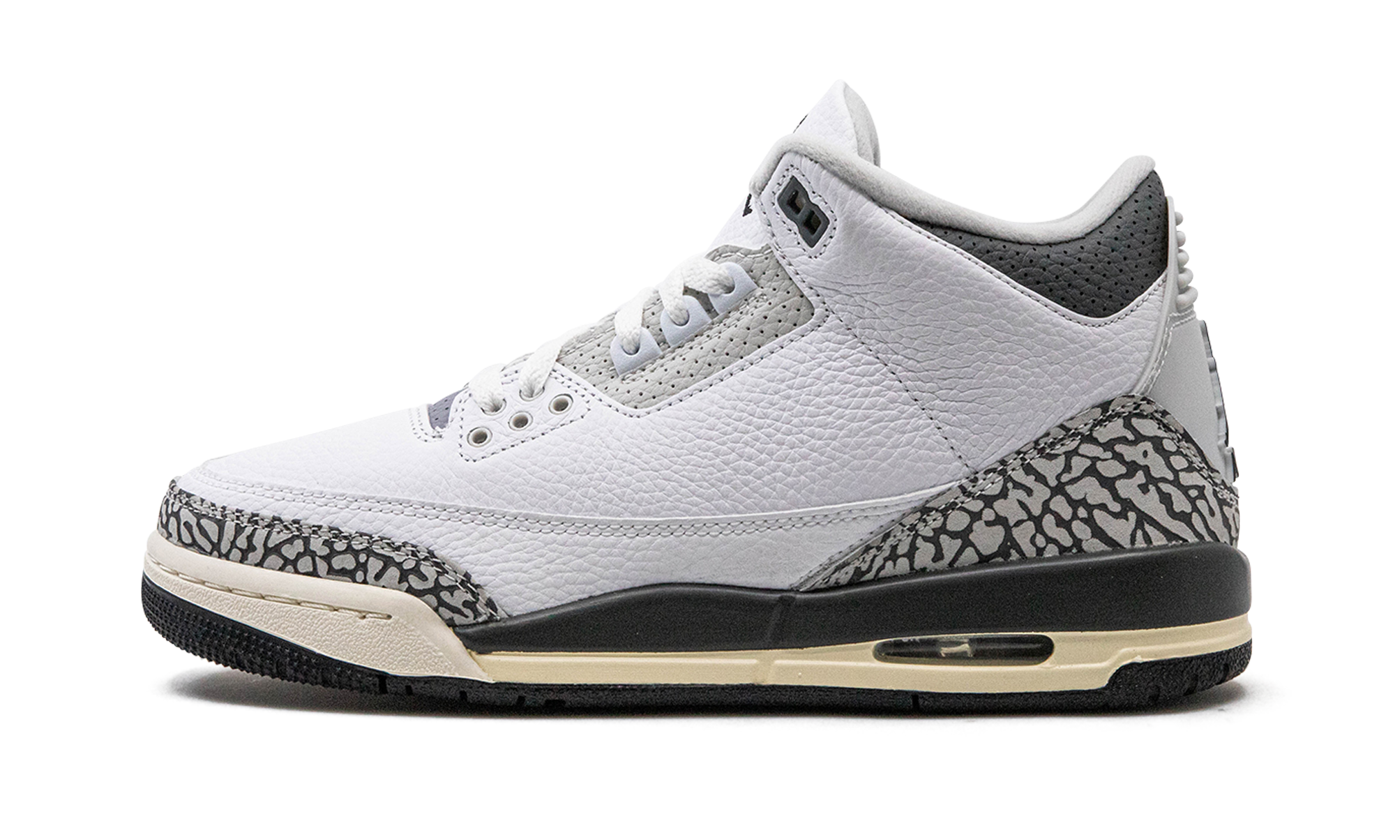 Air Jordan 3 GS Hide N Sneak DX6665 100